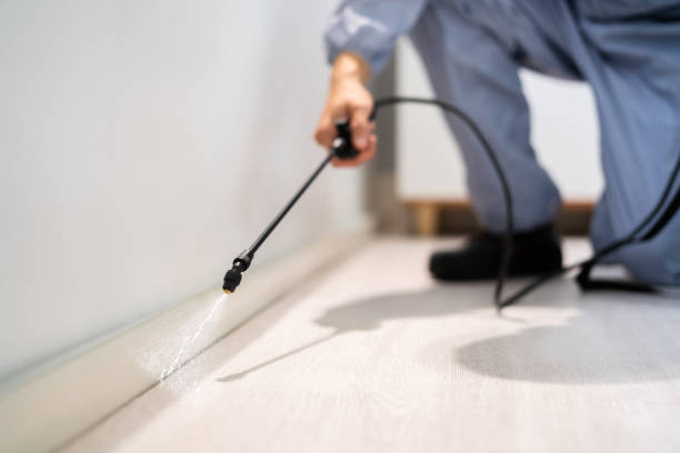 Licensed Pest Control service in Pryor Creek, OK - Show Me Pest Control