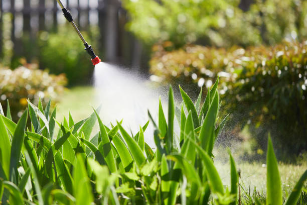 Tamper-Resistant Bait Stations for Rodents in Pryor Creek