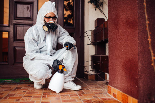 Attic and Crawl Space Rodent Treatment in Pryor Creek